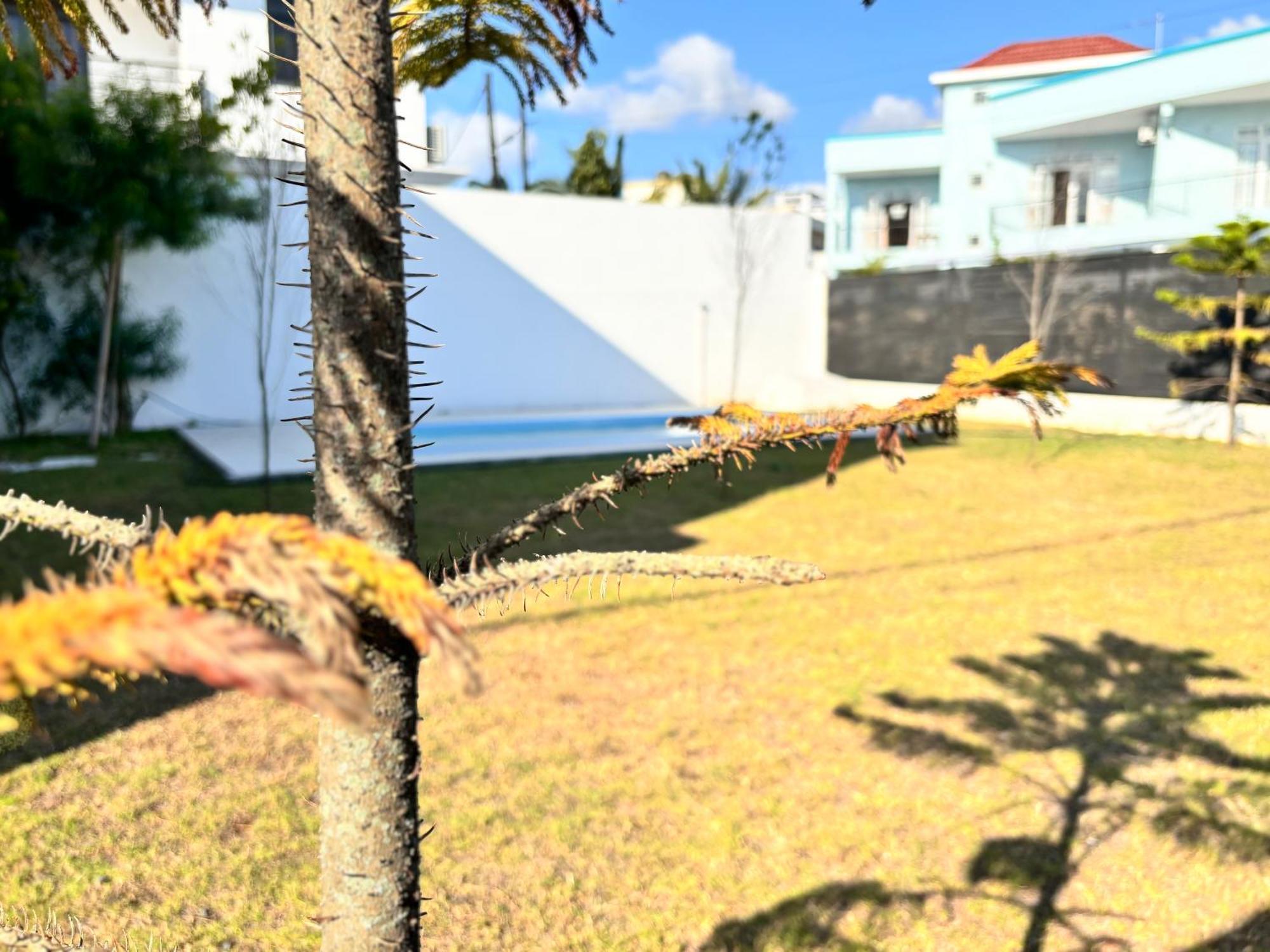 Maison Mont Choisy - One Or Two Bedrooms Apartment Trou aux Biches Ngoại thất bức ảnh